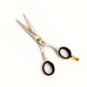 Hair Styling Scissors  FZ-3863